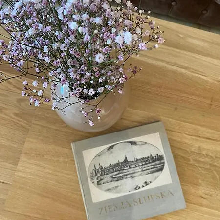 Psd Anny Lajming 3a Appartement Słupsk